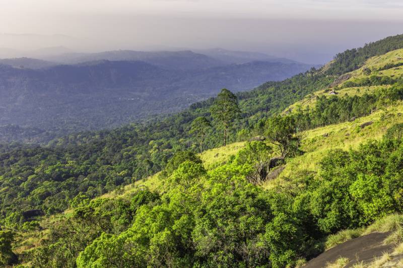 Travel to Darjeeling Hill Station