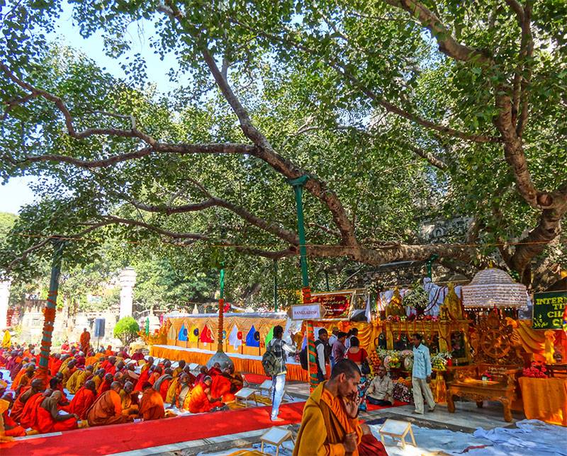 JOURNEY ON THE GANGES