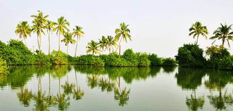 Mesmerizing Kerala