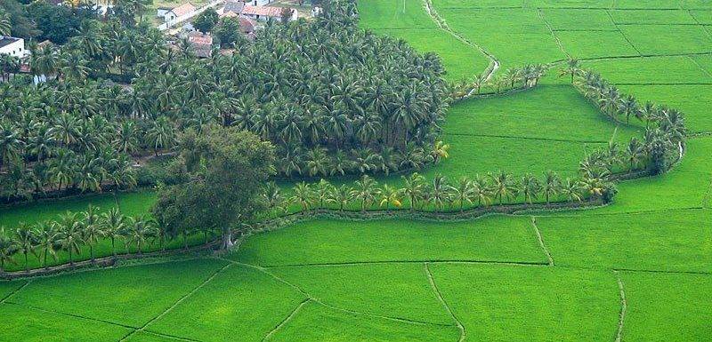 Mesmerizing Kerala