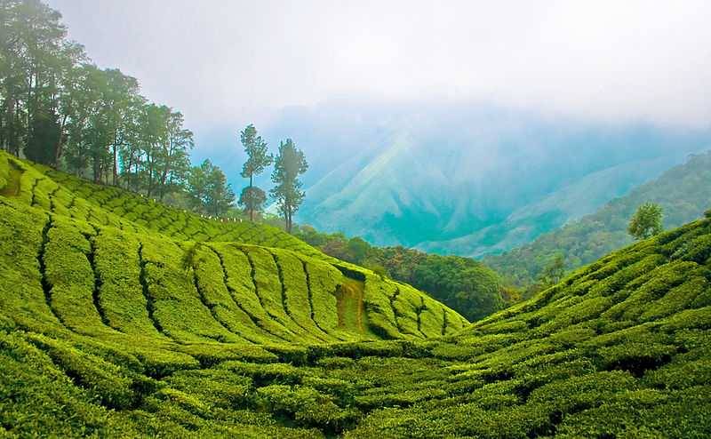 Mesmerizing Kerala