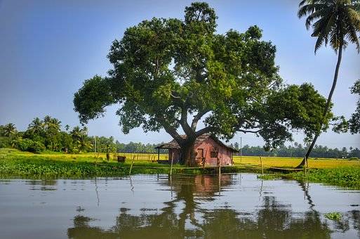 Magic of Kerala Tour Package