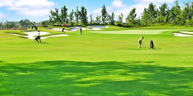 Golf In Ooty (Udhagamandalam) 