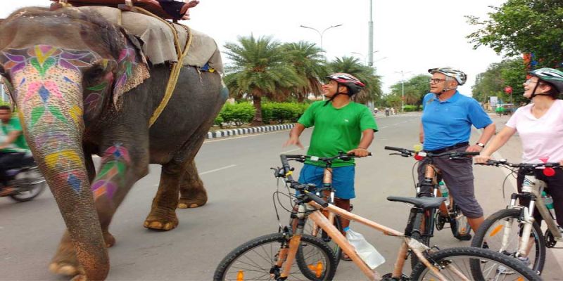 Golden Triangle with Bike Tour