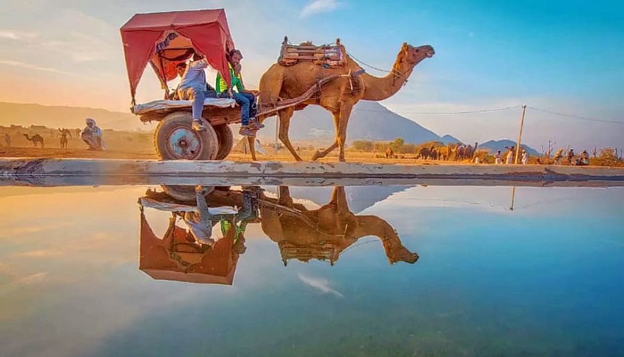 Golden Triangle with Pushkar