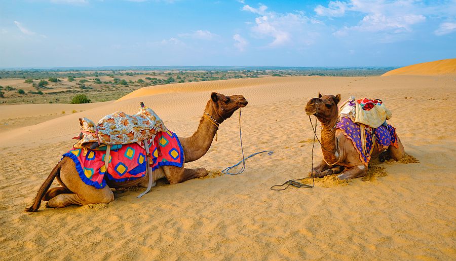 Golden Triangle Tour with Pushkar Special