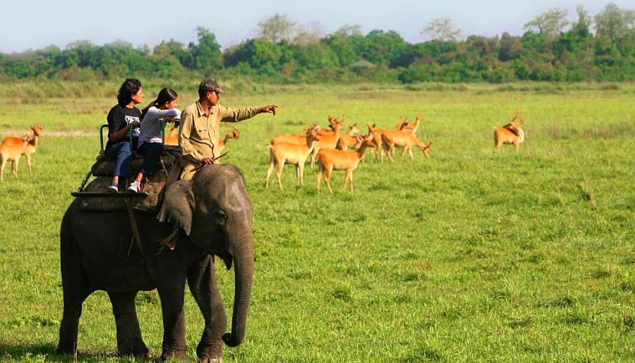 India Seven Sisters Tour