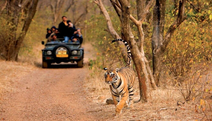 Romantic North India 