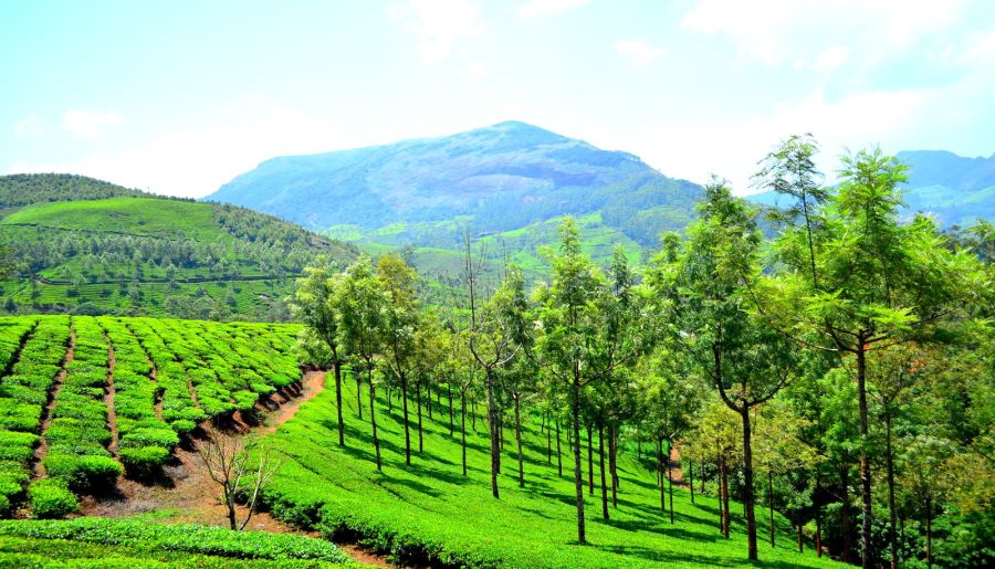 Kerala Luxury Tour Package