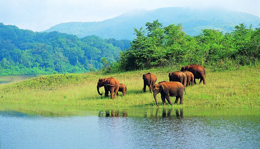 Kerala Luxury Tour Package