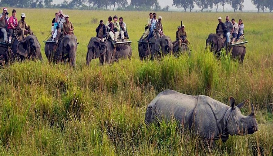 Assam with Meghalaya Tour