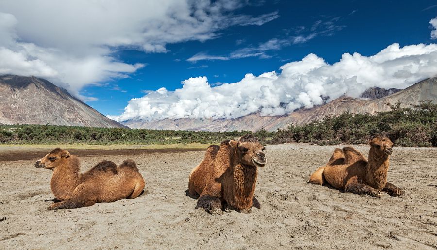 Ladakh - Unmatched Beauty of Nature