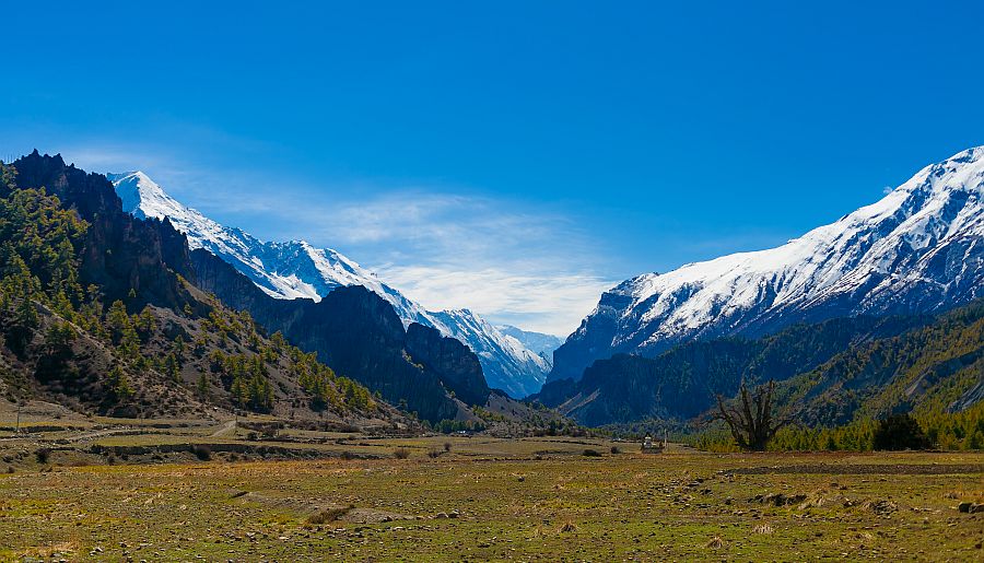 Himalaya Sojourn