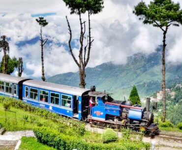 Darjeeling Toy Train