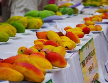 International Mango Festival Delhi