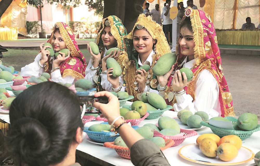 Mango Mela Chandigarh